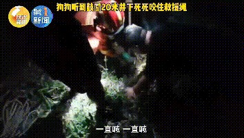 热搜！​咸阳这场对狗狗的救援感动全网