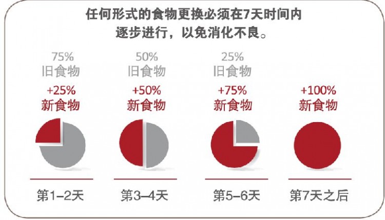 这些情况就要给狗狗喂益生菌了